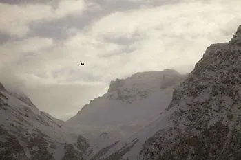Chamanna Arosa